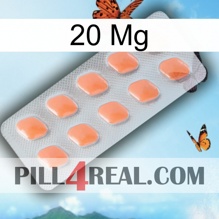 20Mg 26
